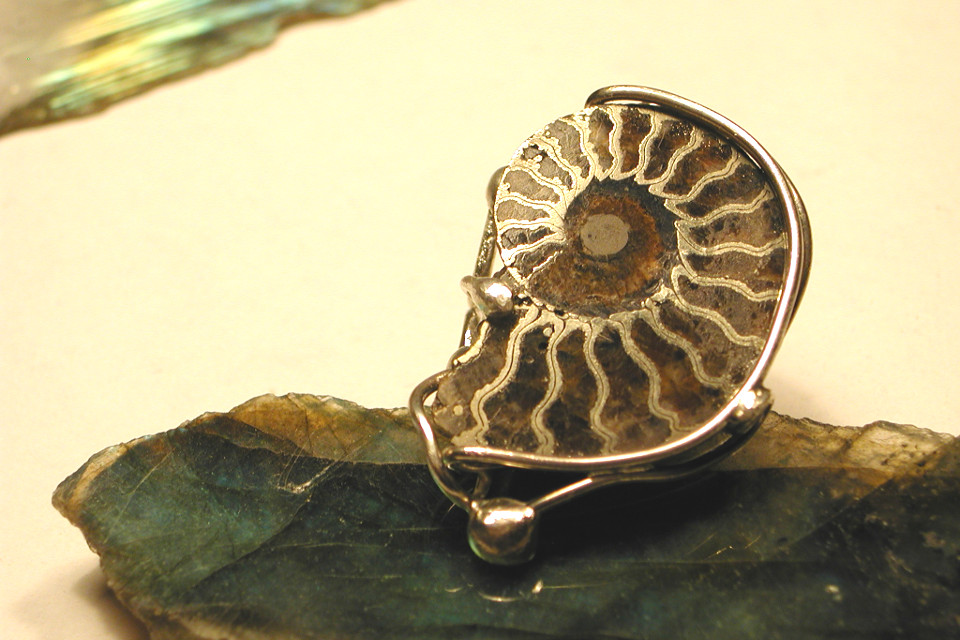 Fossile serti sur une bague en argent