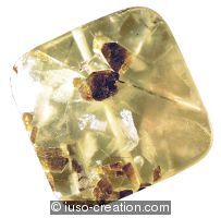 prehnite avec inclusions de tourmaline